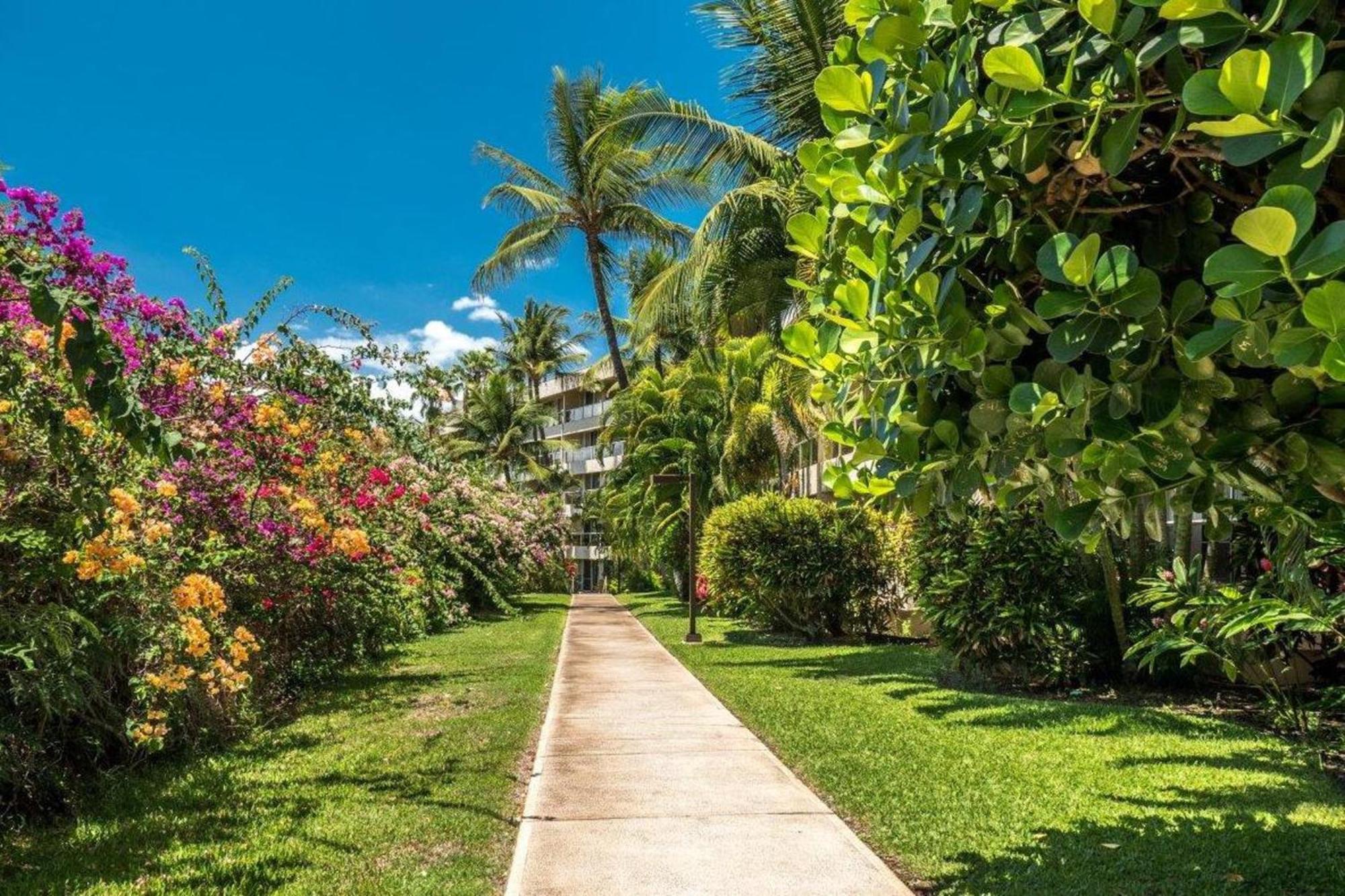 Maui Banyan Vila Wailea  Quarto foto