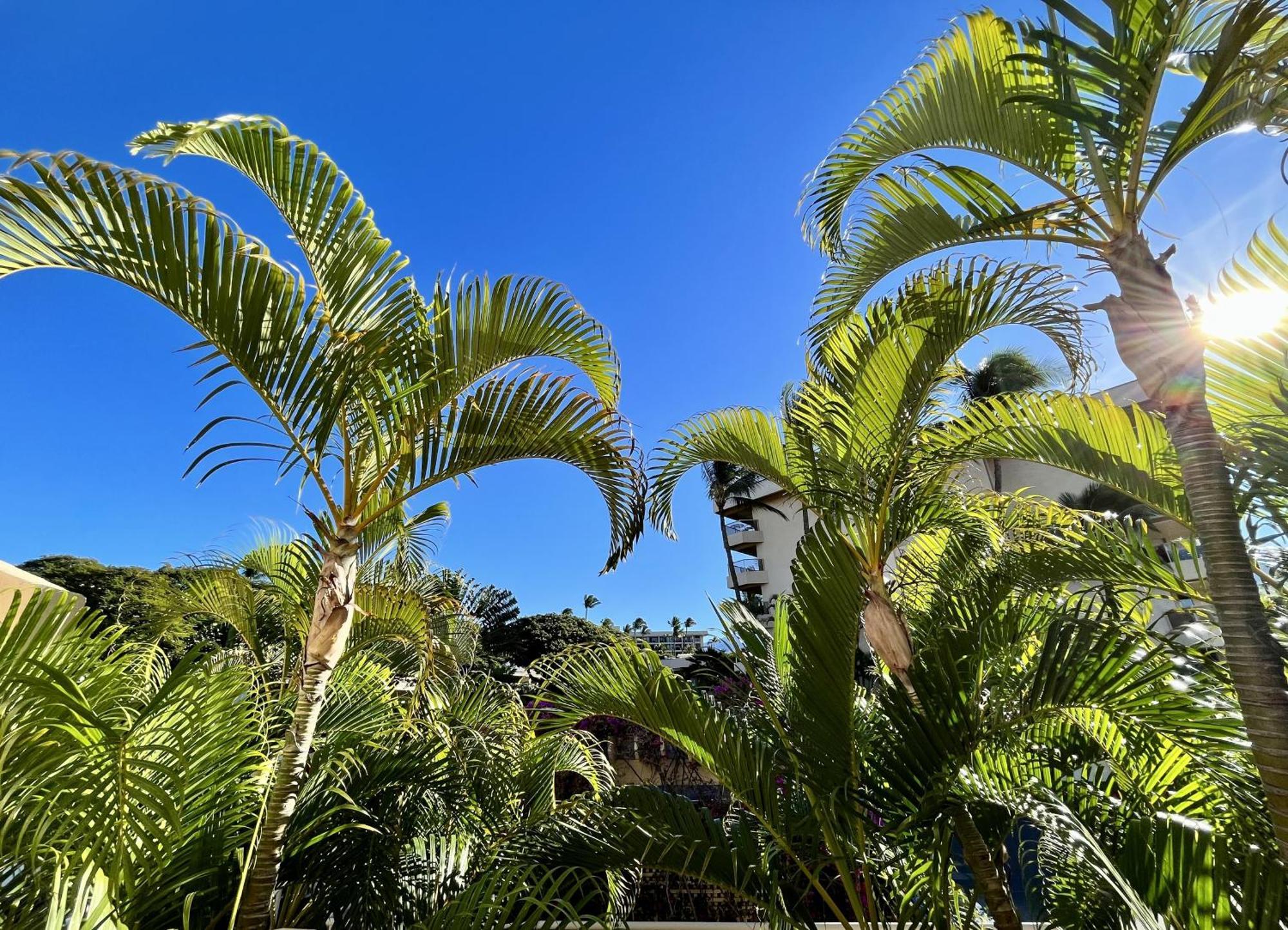 Maui Banyan Vila Wailea  Quarto foto