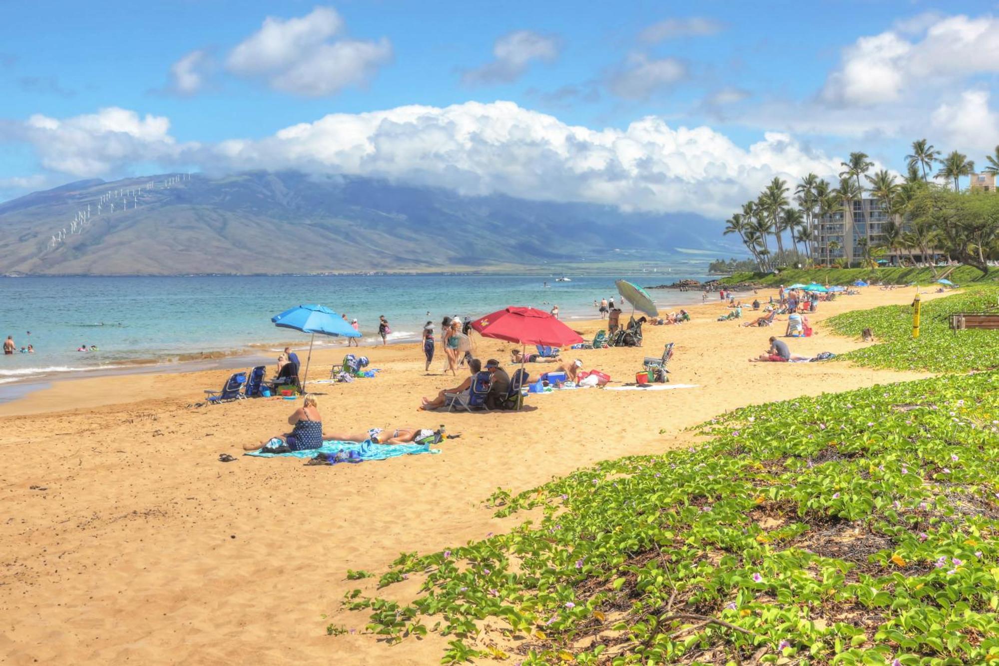 Maui Banyan Vila Wailea  Quarto foto